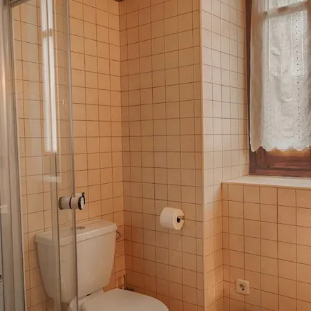 Casa Aranesa Valle De Aran En Arres De Jos Holiday home *